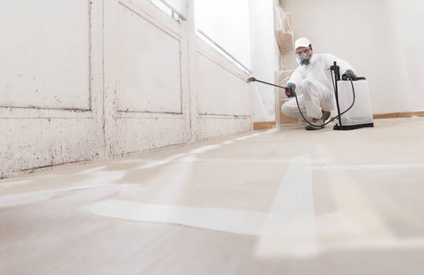24/7 Emergency Attic Mold Remediation experts in Towson, MD