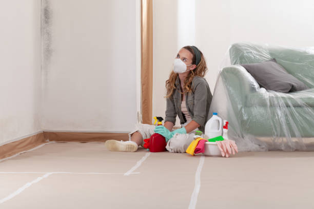 Reliable Attic Mold Remediation contractor in Towson, MD by Mold Remediation HQ